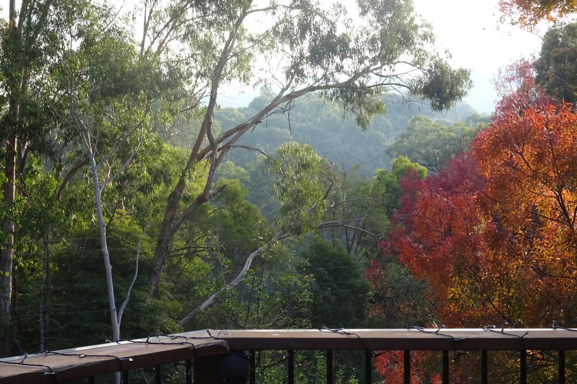Yarra Ranges Country Apartment Mount Evelyn Exterior foto
